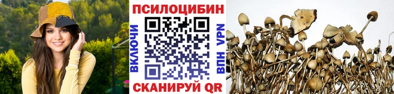 Купить закладки  Бабаево  Галлюциногенные грибы мухоморы 
