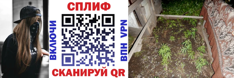 Шишки марихуана тримм  Купить закладки  Бабаево 
